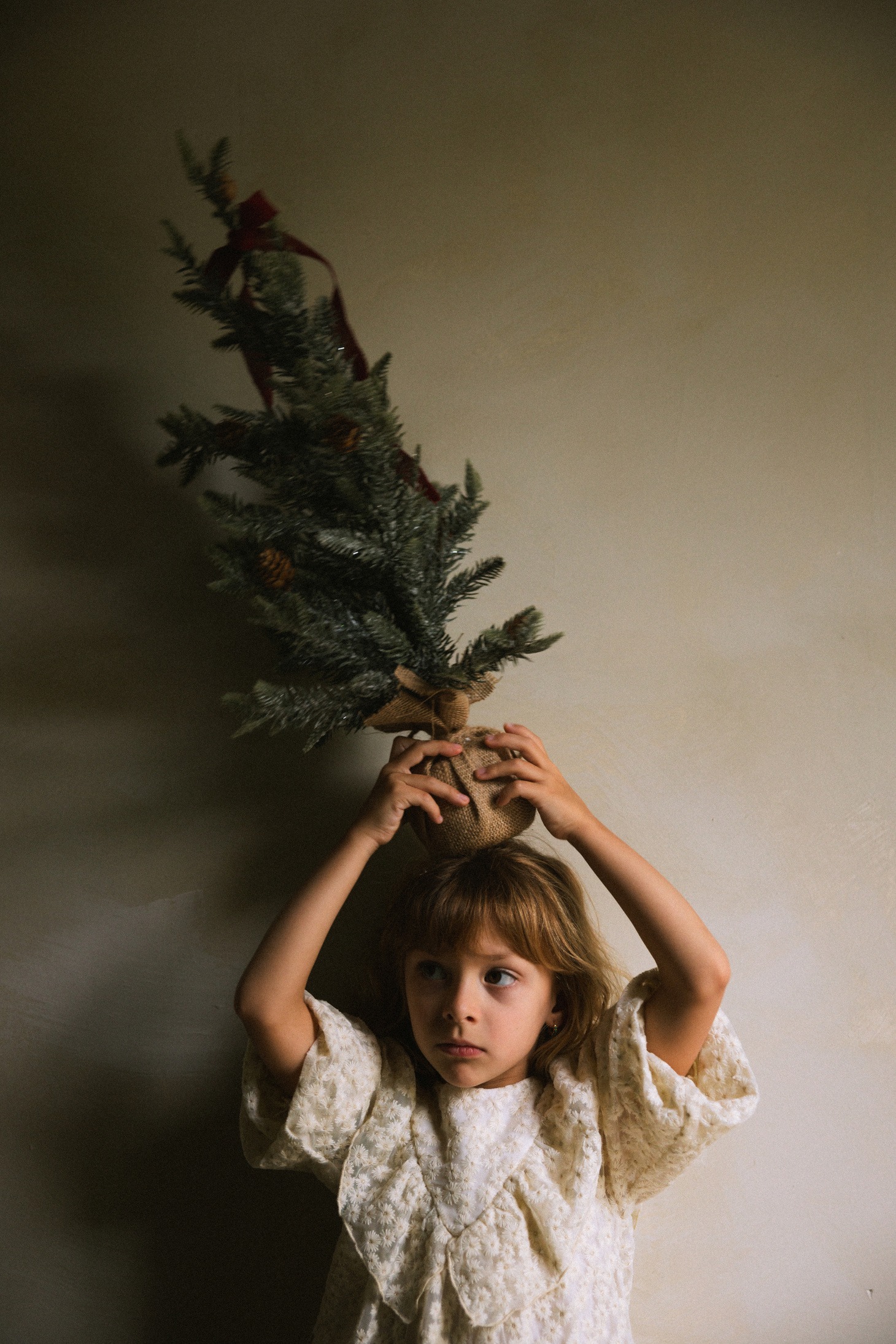 Una niña sostiene un pequeño árbol de Navidad